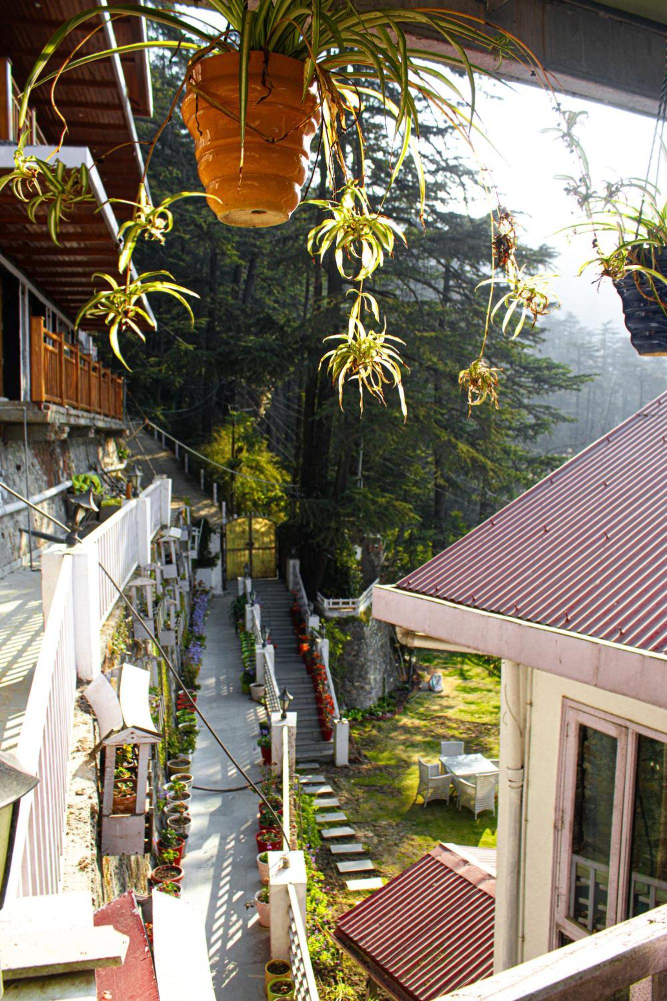 Whispering Pines Villa Shimla Exterior foto